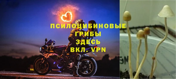 прущая мука Медвежьегорск