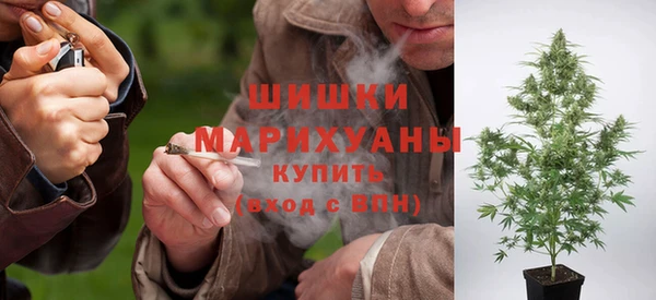 прущие грибы Навашино