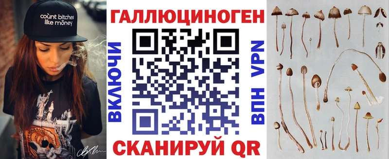 купить наркотик Новоалтайск Галлюциногенные грибы Magic Shrooms