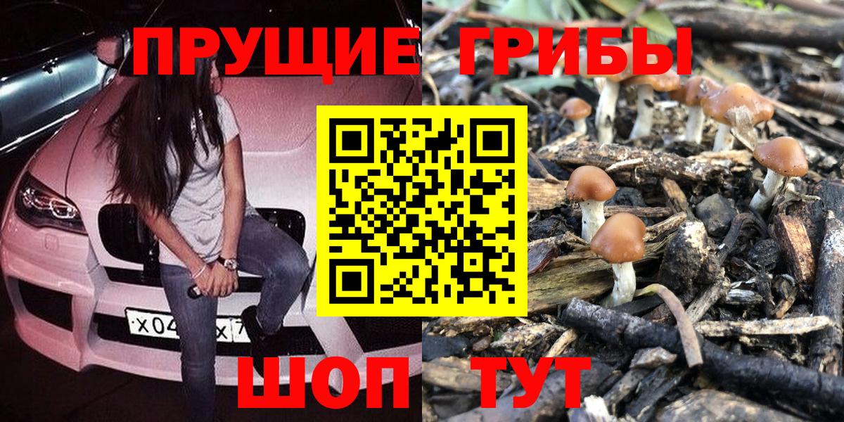 Новоалтайск  Псилоцибиновые грибы Psilocybine cubensis  Вход с VPN 
