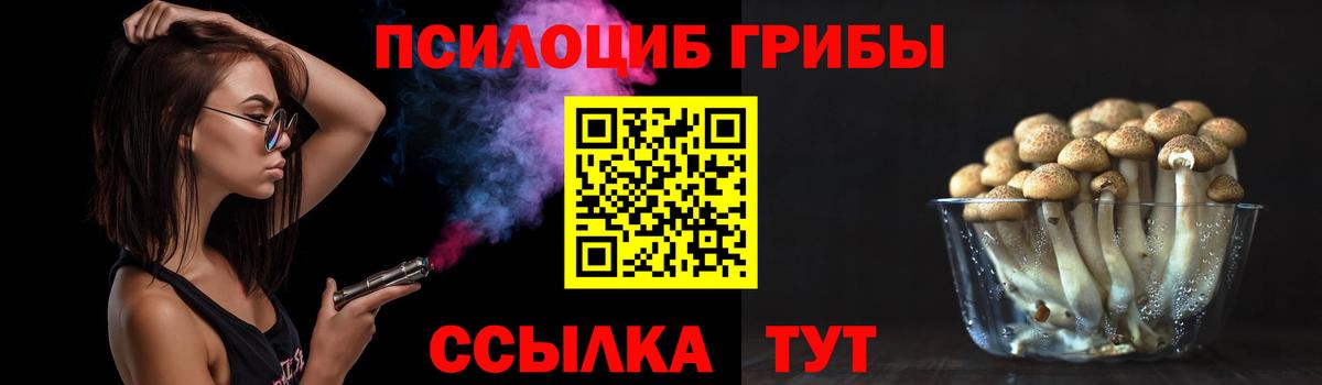 Псилоцибиновые грибы Cubensis Новоалтайск